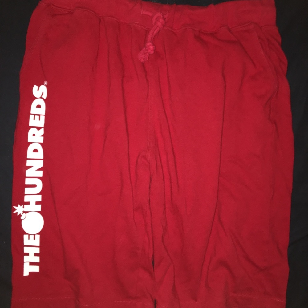 The hundreds juniper sweatshorts size 36